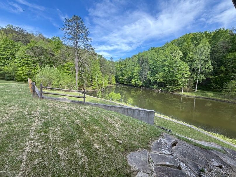 032 view from the east porch of the cabin looking to the southeast over the upper reaches of the pond