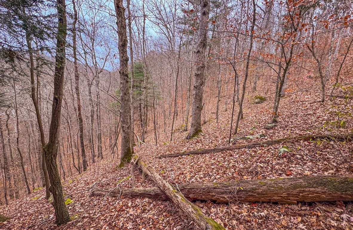 Ritchie, WV 15.5 AC Harper-04