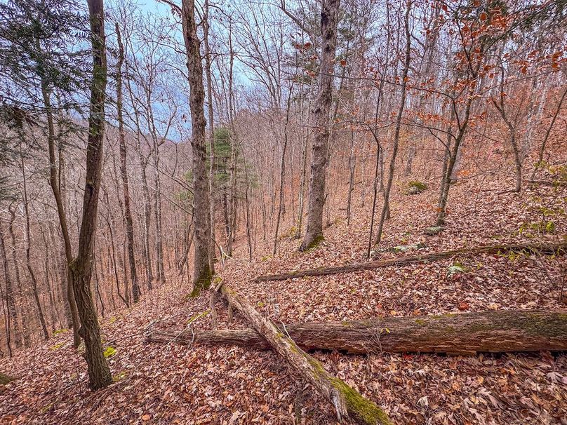 Ritchie, WV 15.5 AC Harper-04