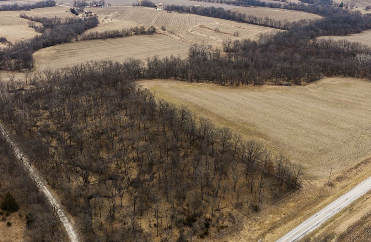 Pike IL 96.87 Adv Pro Photo-4