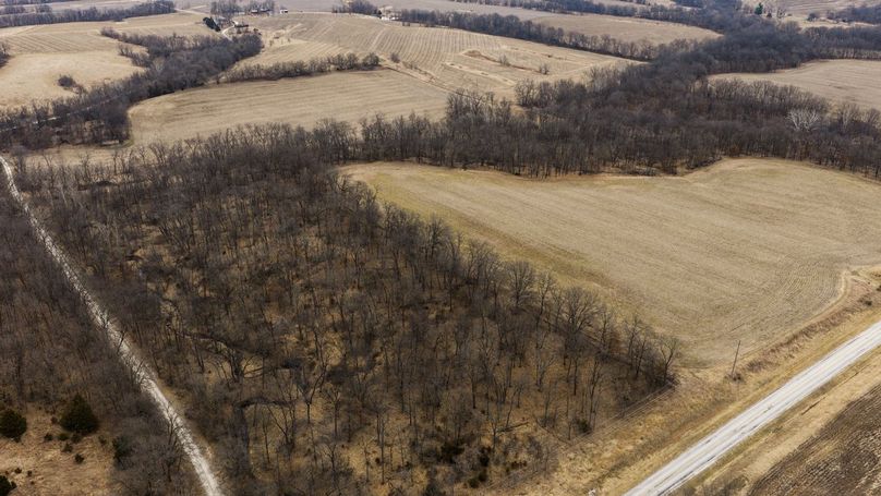 Pike IL 96.87 Adv Pro Photo-4