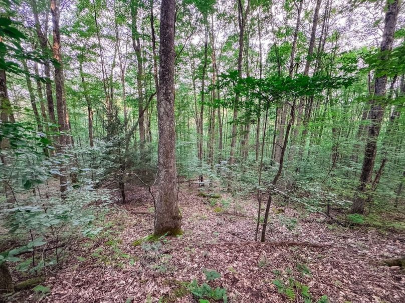 Webster, WV 42 AC Barger-40