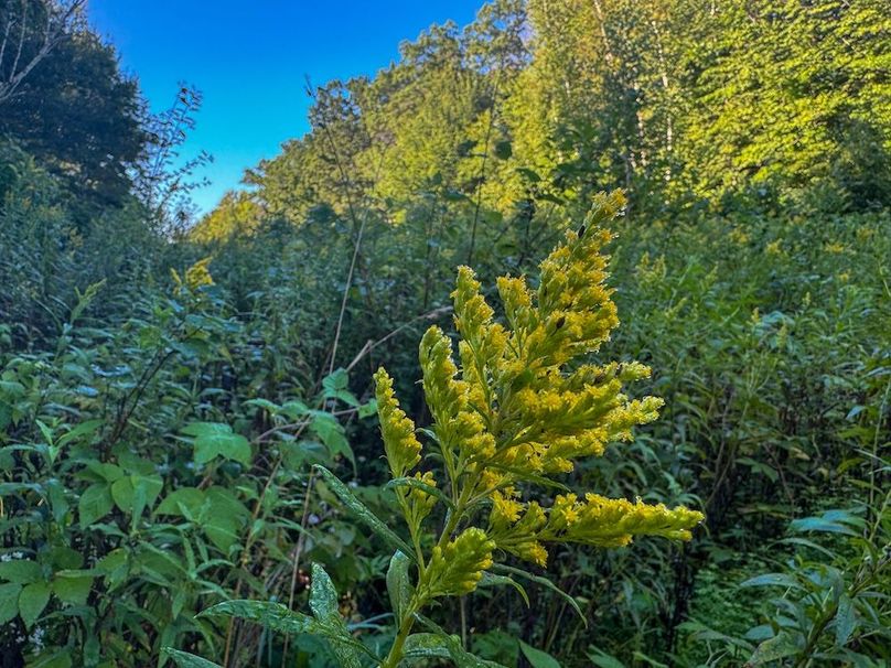 Pantzke Ground Photos-19