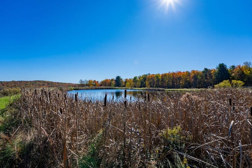 44868WarnerGROUND-22