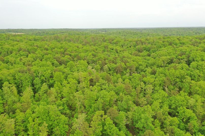DJI_0798