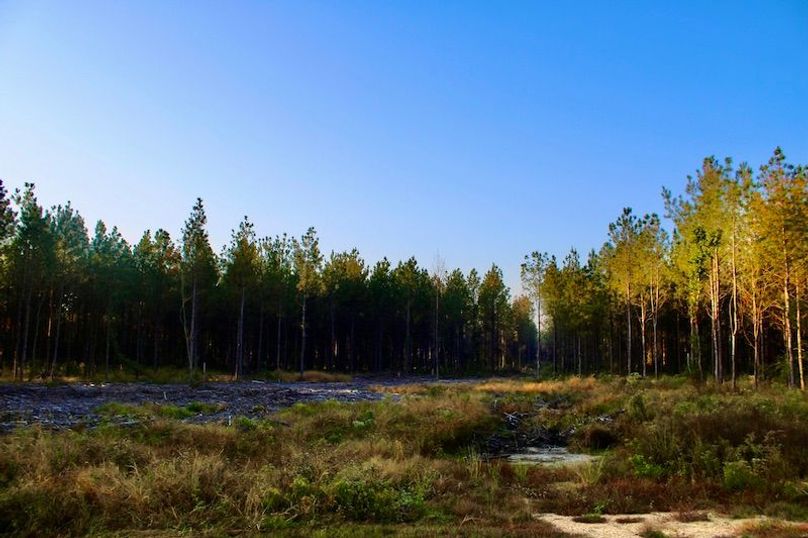 AF969DC9-A81D-4253-885F-A5147B51673D_1_201_a