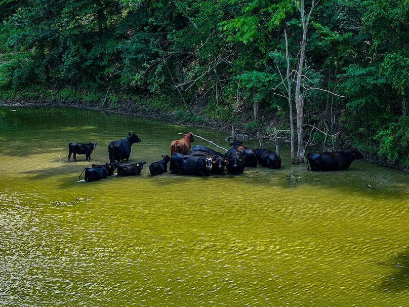 New Albin 8_8 edits-53