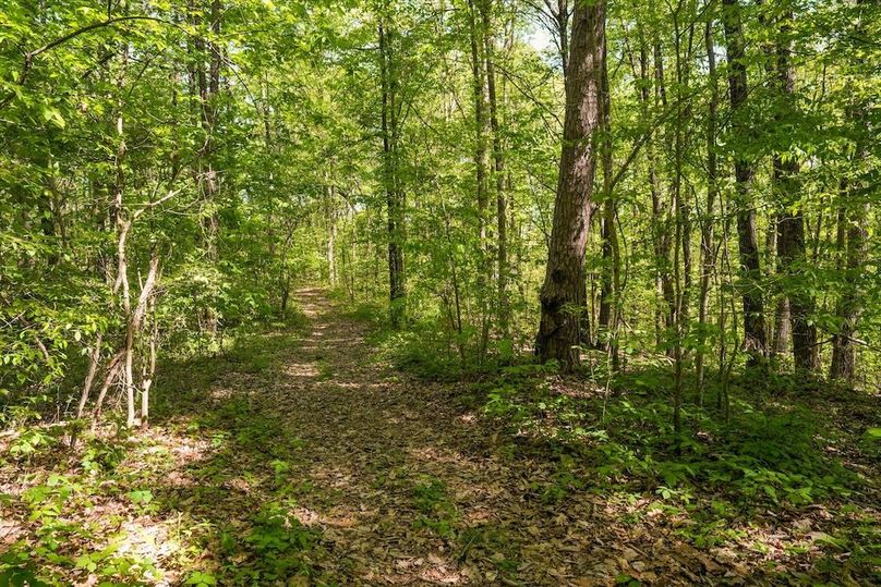 46-2869 Persian Ln42