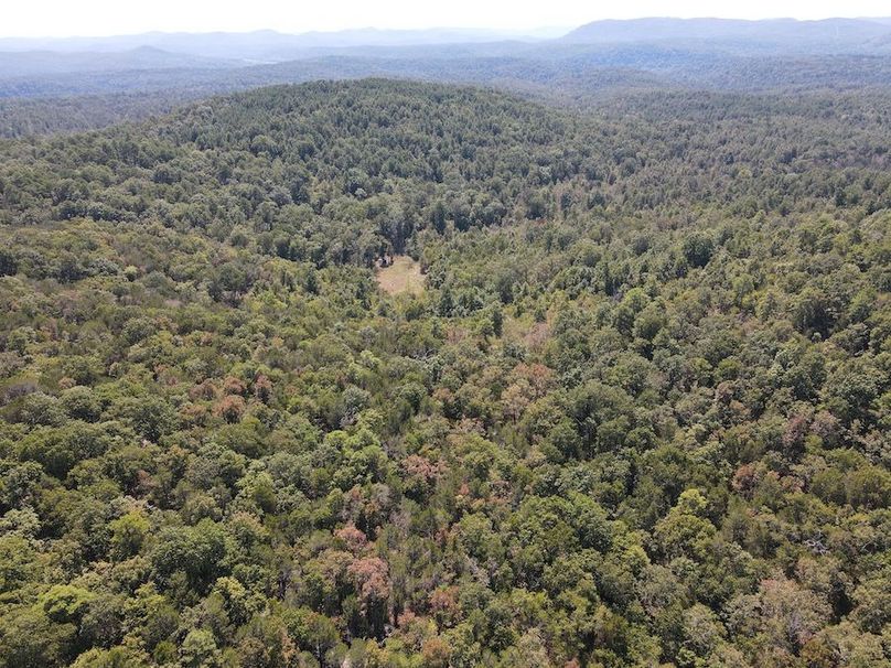 dji_fly_20250902_122716_780_1756834048327_photo