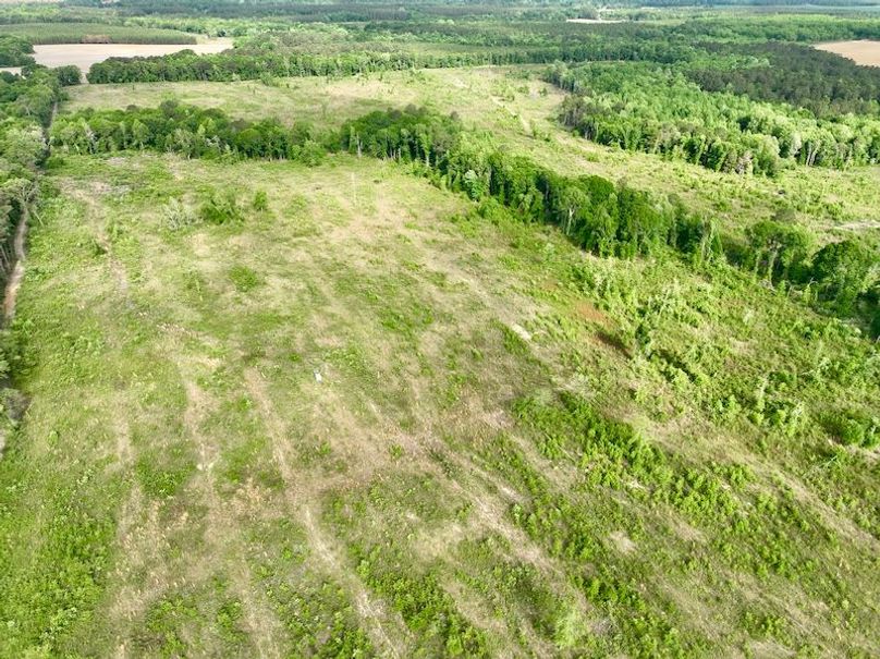 dji_fly_20260427_094526_586_1777299993707_photo