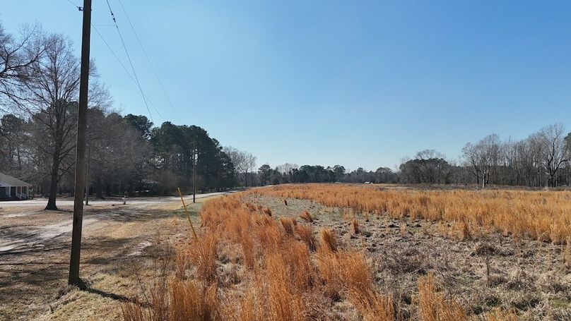 dji_fly_20260206_113152_0253_1770395771325_photo