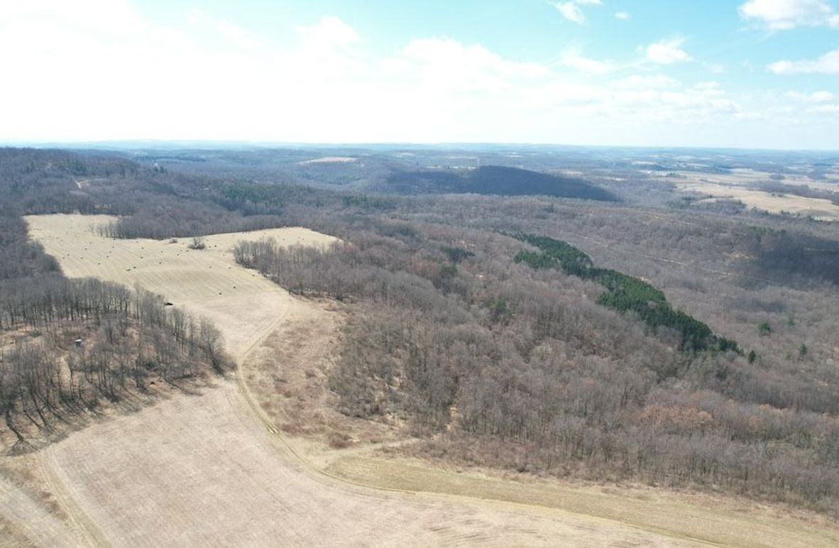 dji_fly_20250325_123446_44_1742920831877_photo