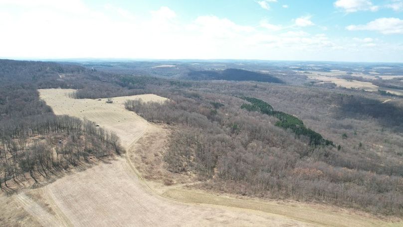dji_fly_20250325_123446_44_1742920831877_photo