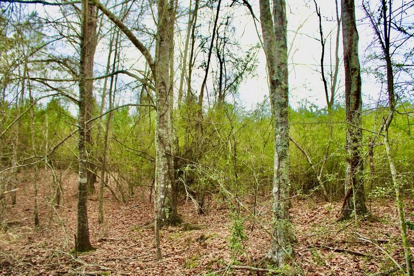 58950785-AF63-43D6-B0DC-A5C9B240EEFE_1_105_c