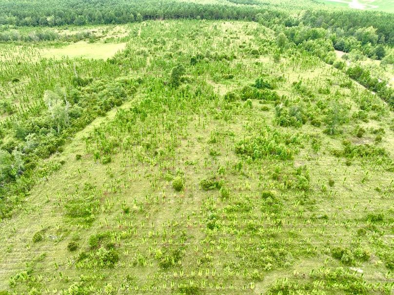 dji_fly_20240710_135402_551_1720634591555_photo