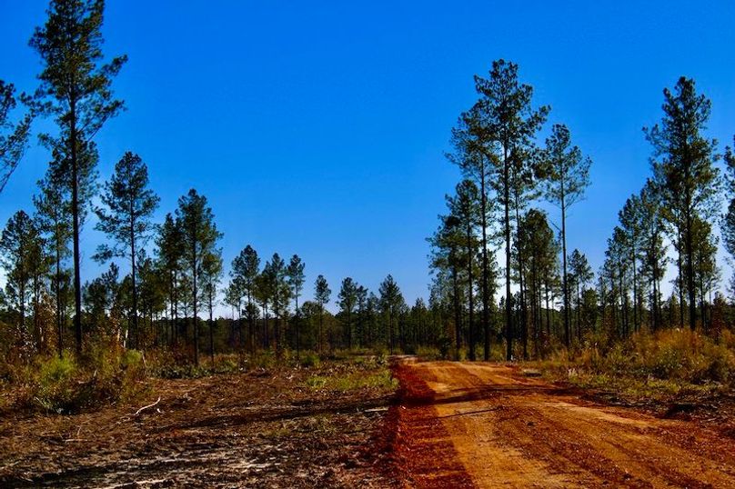 5EF61504-76F7-4465-83DA-4E046C85FB5C_1_201_a