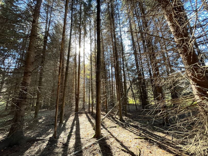 Schuyler_25.155_Ennis_Photos_15