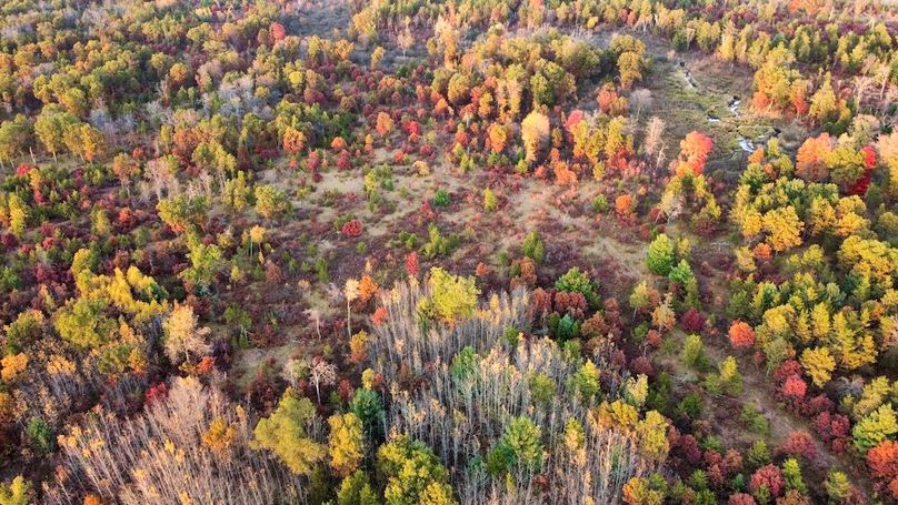 dji_fly_20241011_174836_444_1728687462033_photo_optimized 2