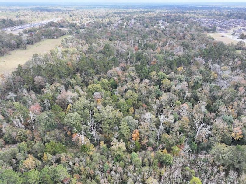 dji_fly_20251118_121050_0719_1763560721834_photo