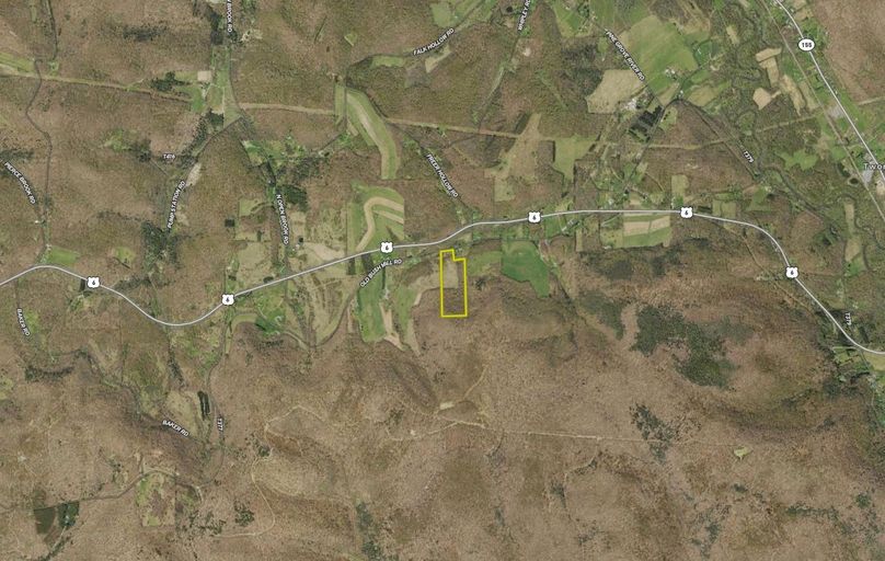 Screen Shot 2024-02-15 at 11.25.39 AM