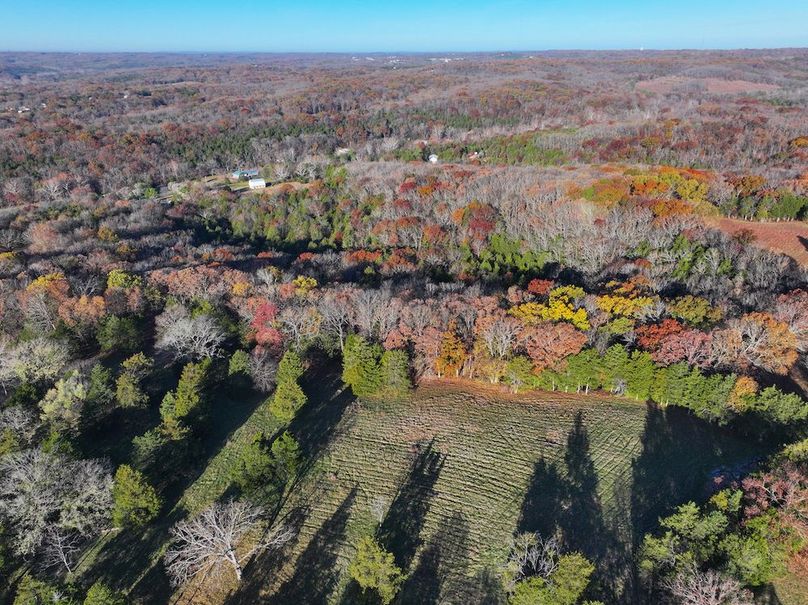 DJI_20251112080757_0872_D