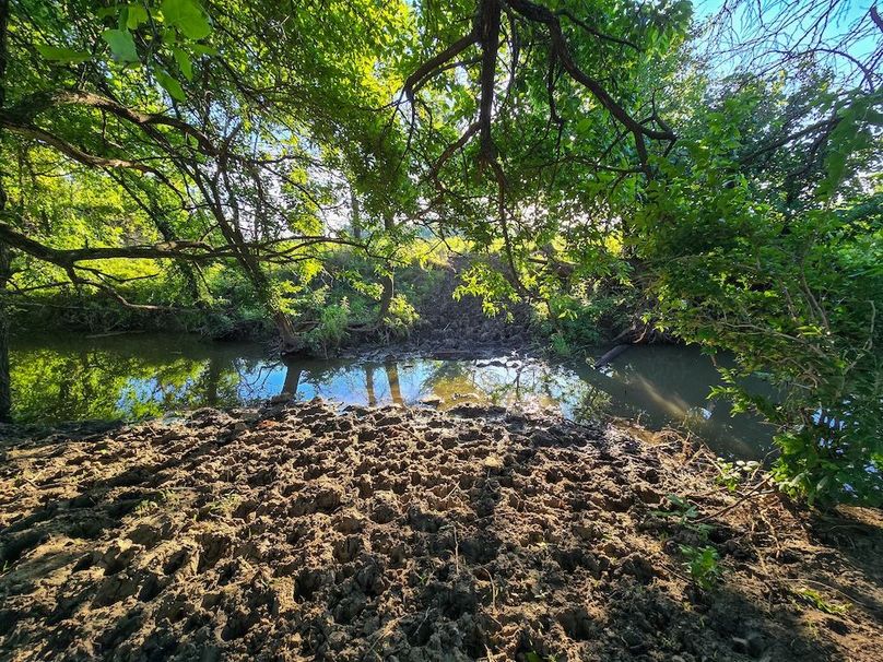 Copy of 20250625_071934