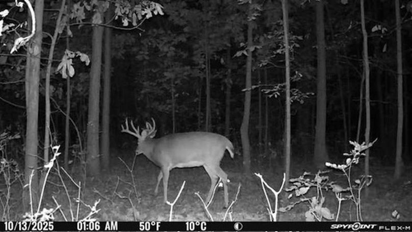 Copy of 50D3EEBE-B1E3-4F78-9041-A314842ED982_4_5005_c