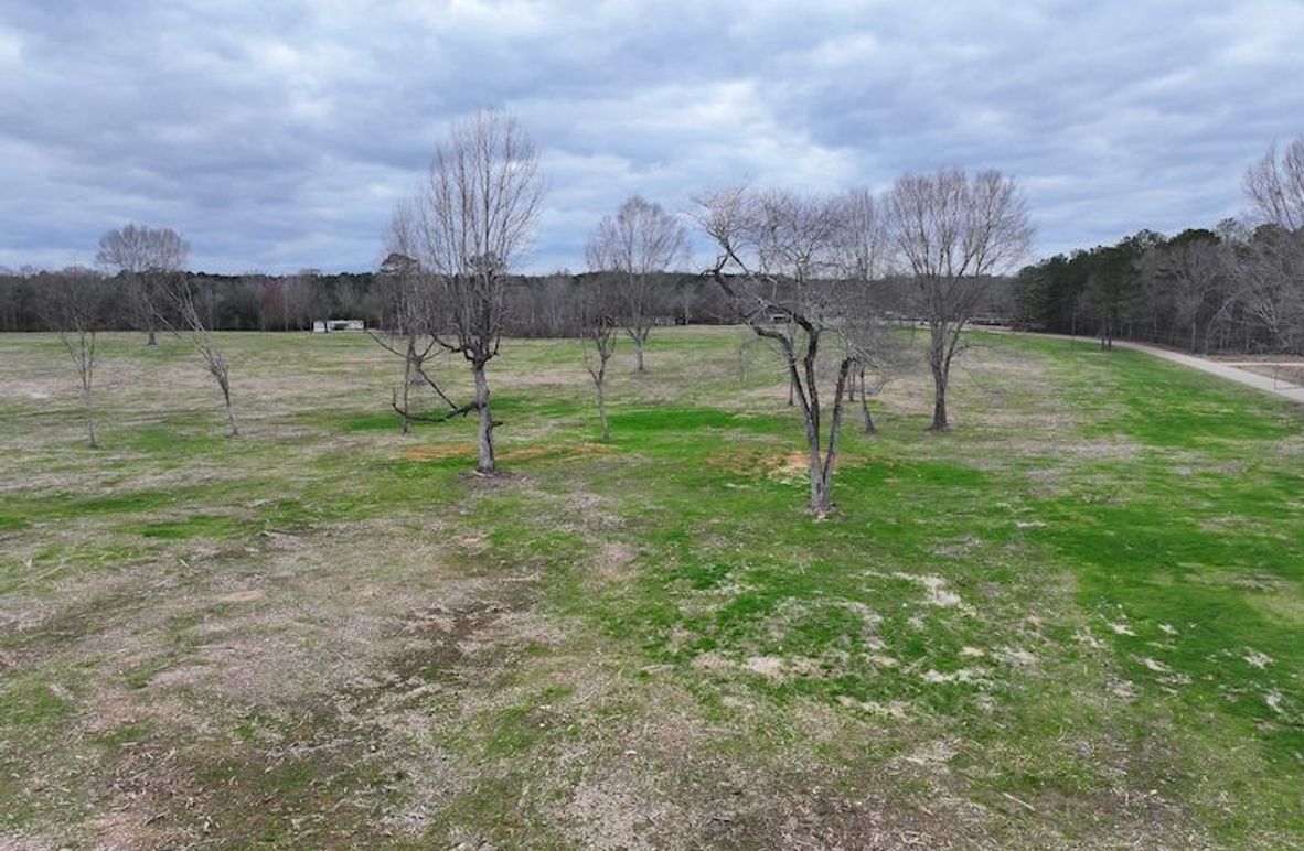 dji_fly_20260217_142838_0133_1771436910851_photo