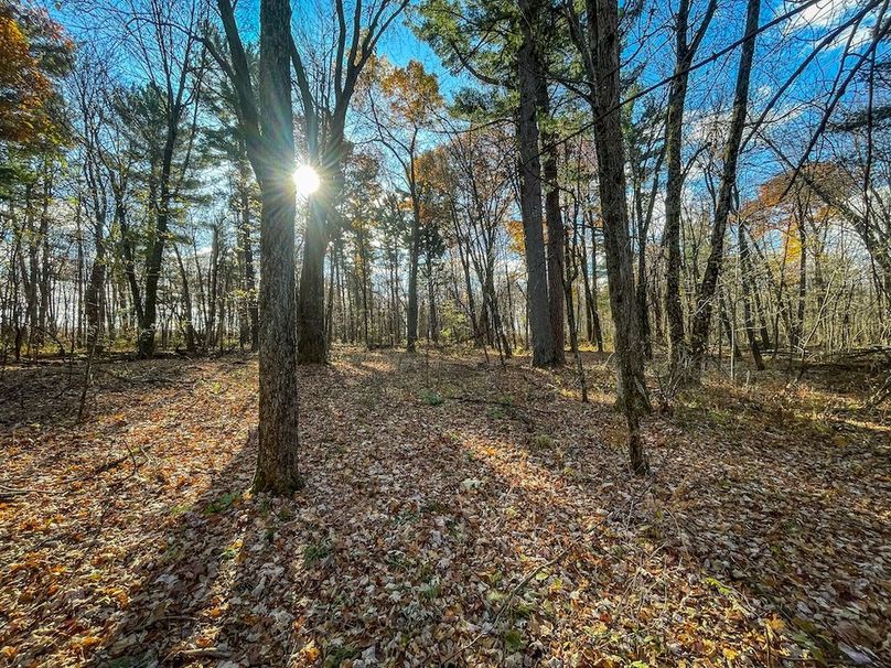 Portage 150.81 JMJK Prop-60