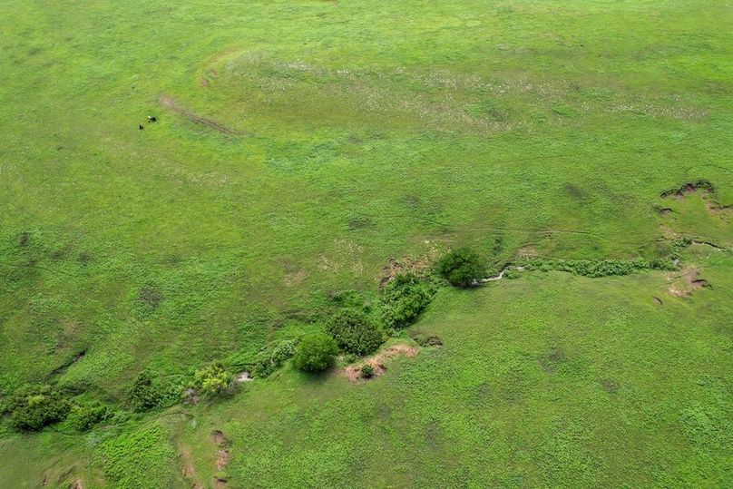DJI_0651