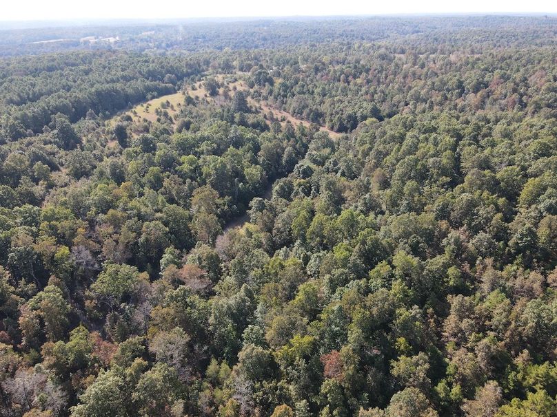 dji_fly_20250902_095350_720_1756824853581_photo