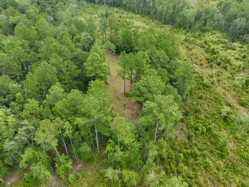 dji_fly_20240717_132758_664_1721237506330_photo