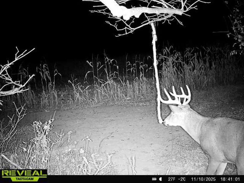 865814043293958-90-4-11102025184100-W1002991