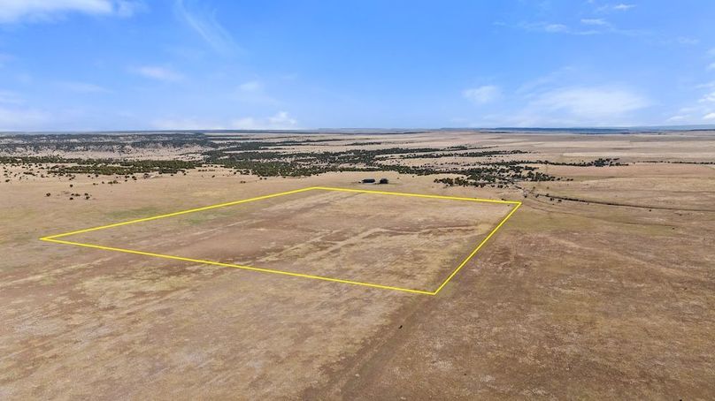 DJI_20250408163814_0018_D (1)