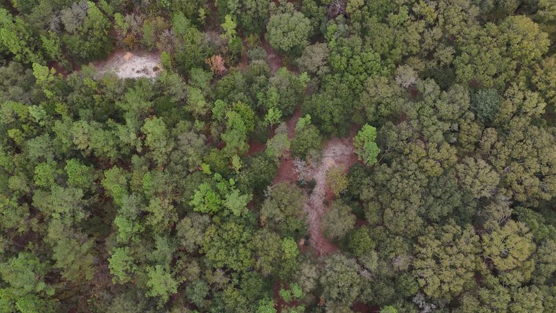 DJI_20231117115902_0026_D