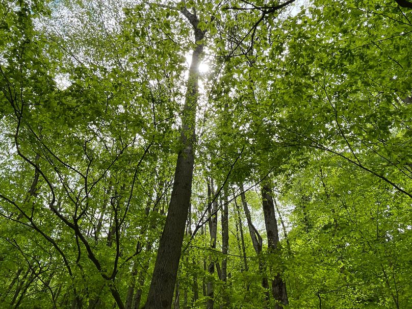 Tioga_18.72_Coulson Photo 18