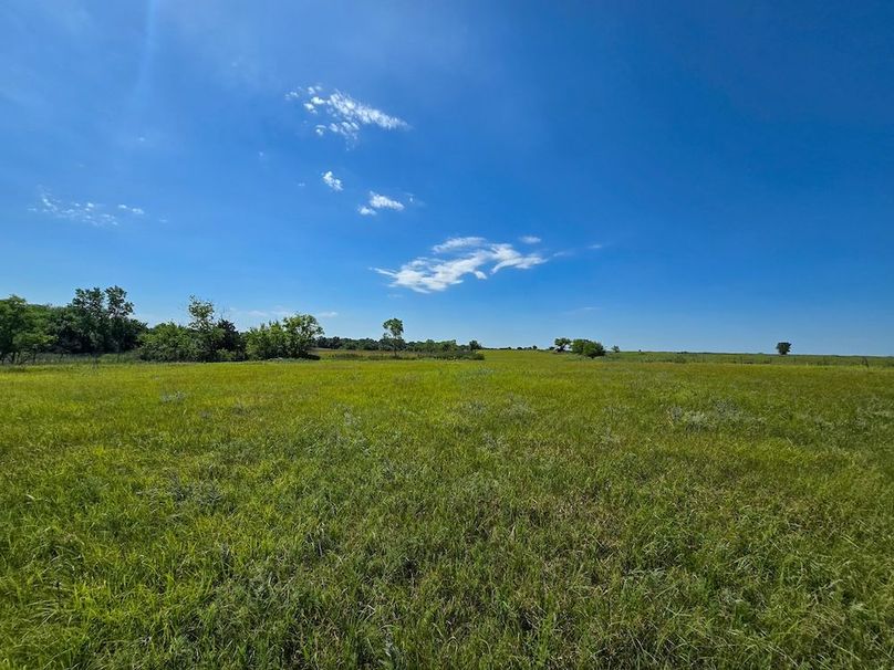 Copy of 20250729_113641