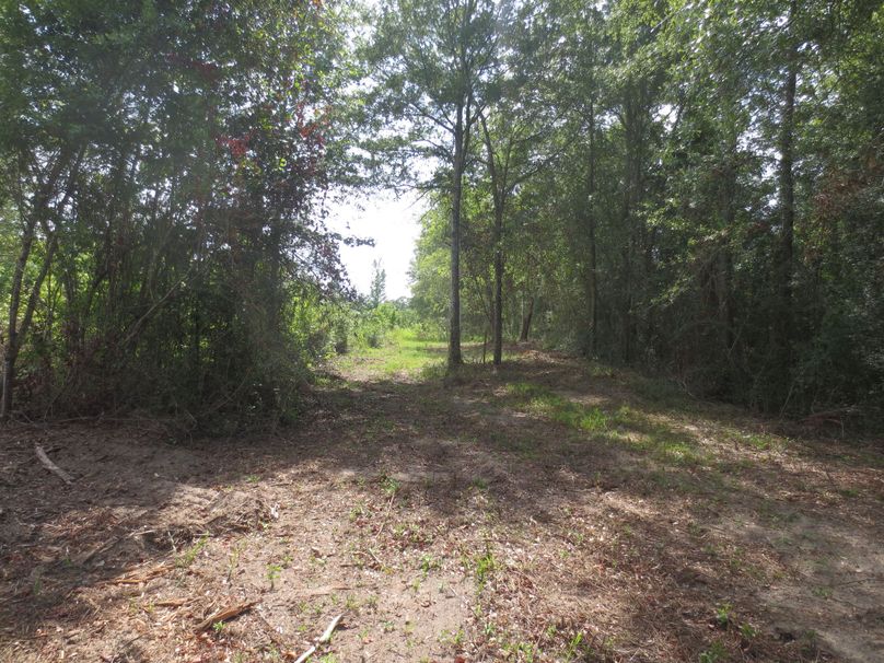 53671B1C-E993-41F5-A35A-793078471255