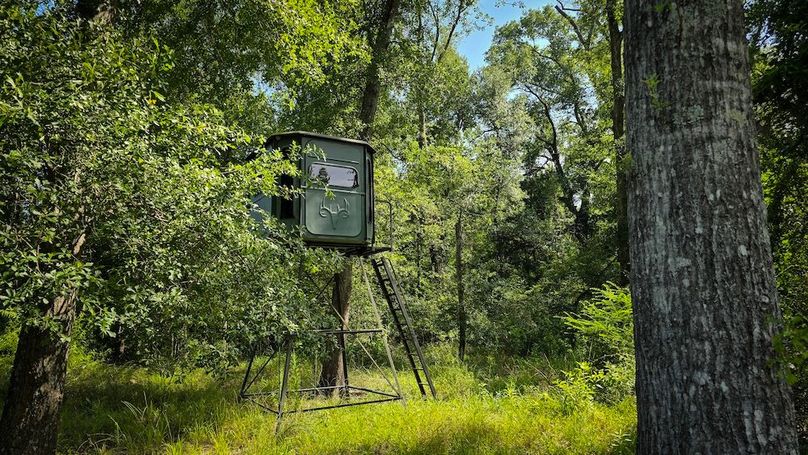 Copy of 10-20250710_101917