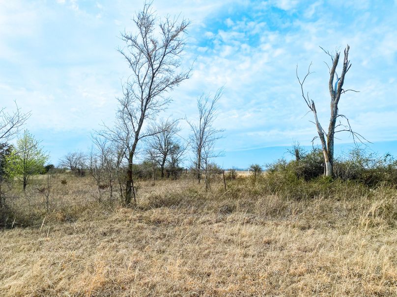 Wagoner13.37Lackeypic8