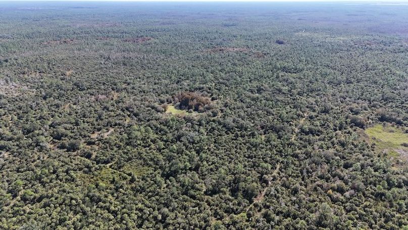 DJI_20251121121917_0016_D