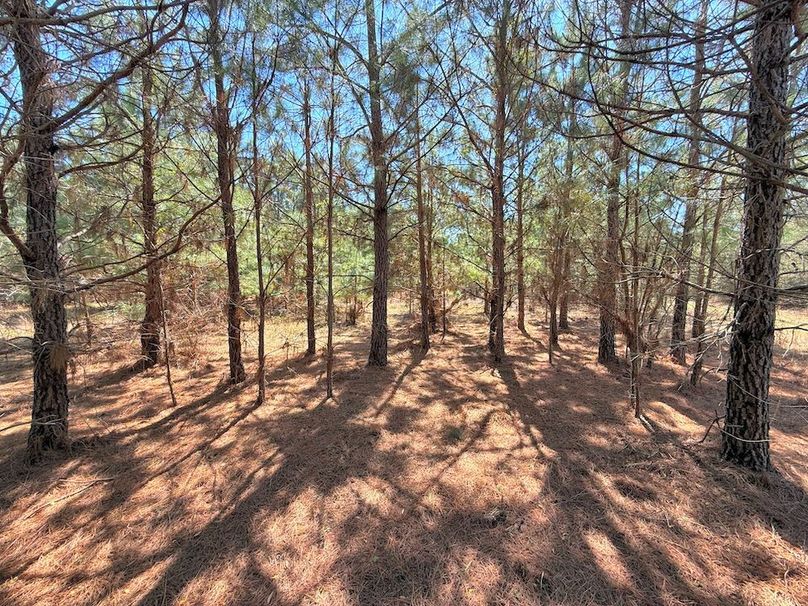 996FA339-7090-4E90-B57E-913E649ED2B6