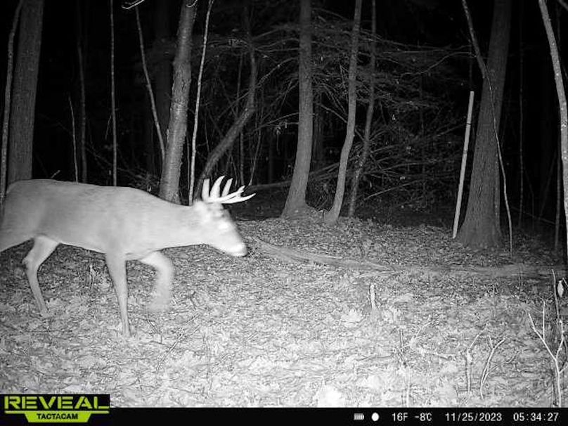 865814048154676-90-2-11252023053426-W1004224