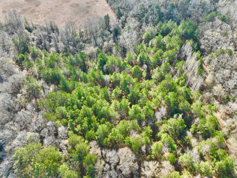 dji_fly_20231230_105716_6_1703952429762_photo