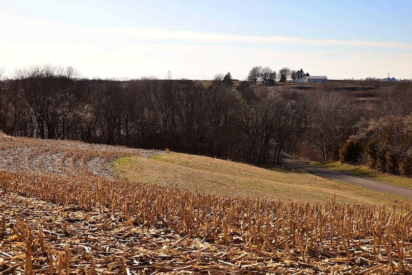 11 Buchanan 252.69 Tract 1