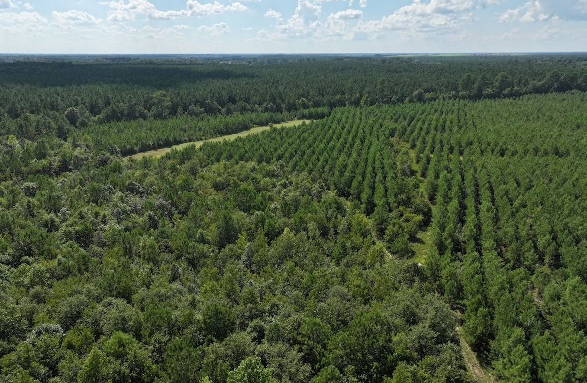 DJI_20240820163439_0002_D