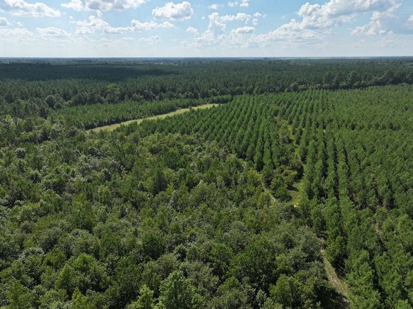 DJI_20240820163439_0002_D