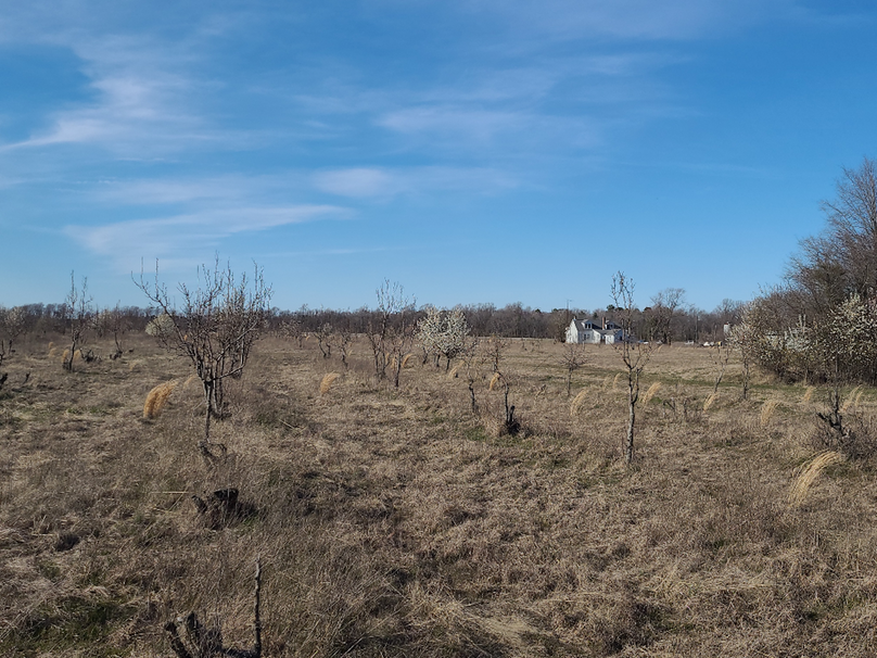 50.38ac_BethlehemRd_Caroline_Pic015