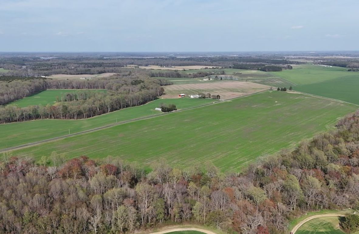 3_dji_fly_20260401_162448_0049_1775137478370_photo