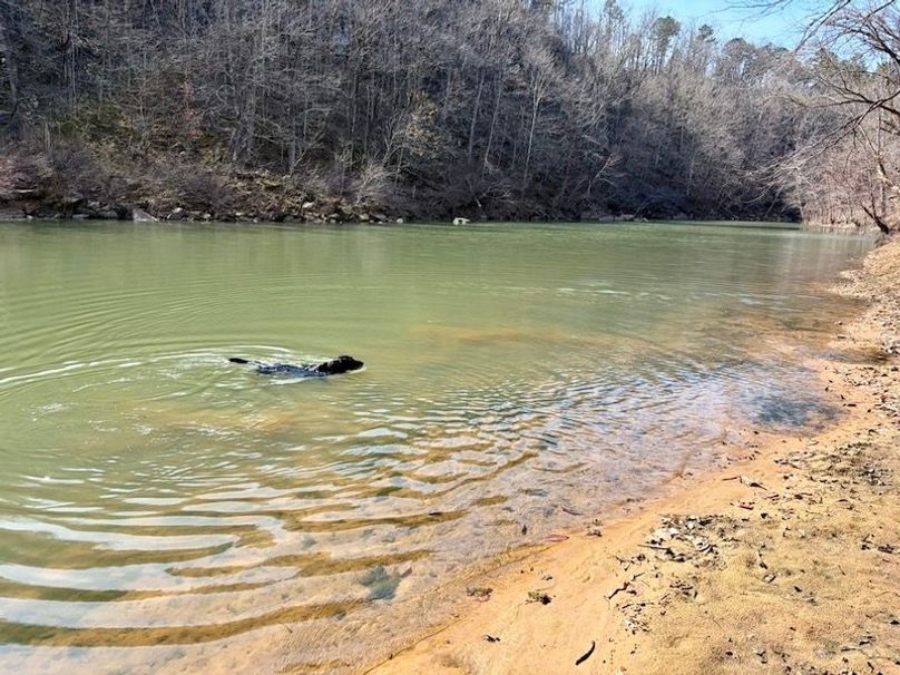 3E39C5DE-40DB-4848-B354-D170693B21D0_1_105_c